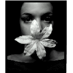 blossom01.jpg
Poet zobrazen: 2384 (6524.6772 dn) pr.=0.3654
Rozmr: 343 x 402 pixel
Velikost: 38.21 kB