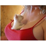 prsa.jpg
Poet zobrazen: 3950 (6540.0895 dn) pr.=0.6040
Rozmr: 571 x 444 pixel
Velikost: 114.772 kB