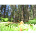 m144_4500.jpg
Poet zobrazen: 3628 (6537.3699 dn) pr.=0.5550
Rozmr: 1600 x 1200 pixel
Velikost: 382.149 kB