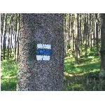m145_4512.jpg
Poet zobrazen: 3730 (6537.2264 dn) pr.=0.5706
Rozmr: 1600 x 1200 pixel
Velikost: 679.248 kB