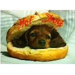 hotdog.jpg
Poet zobrazen: 3684 (6535.7150 dn) pr.=0.5637
Rozmr: 550 x 403 pixel
Velikost: 24.509 kB