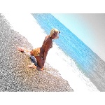 d11.jpg
Počet zobrazení: 1430 (5706.6640 dní) pr.=0.2506
Rozměr: 600 x 450 pixel
Velikost: 191.148 kB