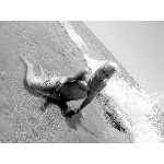 d5.jpg
Počet zobrazení: 1349 (5706.6643 dní) pr.=0.2364
Rozměr: 600 x 450 pixel
Velikost: 142.136 kB