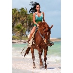 p1233712331.jpg
Počet zobrazení: 1750 (6159.5978 dní) pr.=0.2841
Rozměr: 400 x 600 pixel
Velikost: 205.4 kB