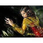 111092479.jpg
Počet zobrazení: 1528 (6491.0957 dní) pr.=0.2354
Rozměr: 600 x 449 pixel
Velikost: 240.197 kB