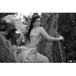 Lucie victorie Leke�ov�